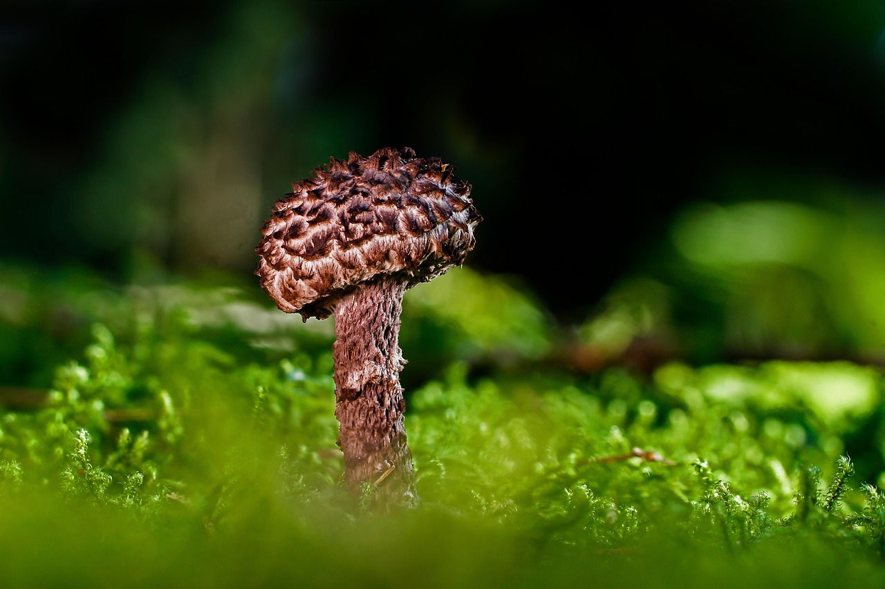 ノネナールと皮膚の常在菌バランスを保つためのポイントは？