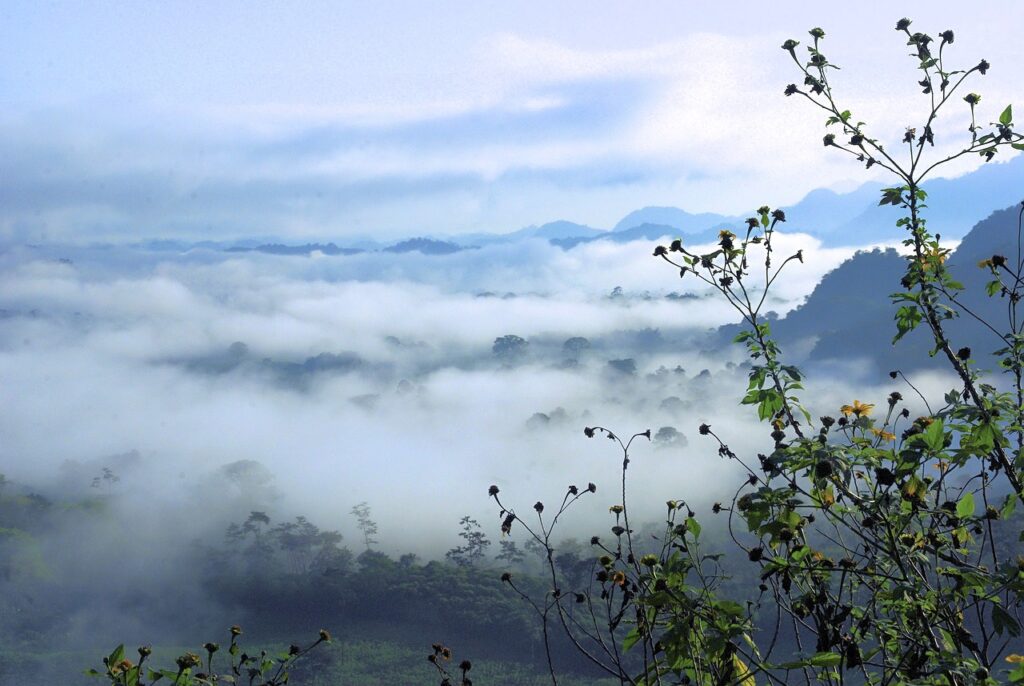 ワキ汗の多汗症にボトックス治療は男性にも効果的なのか？