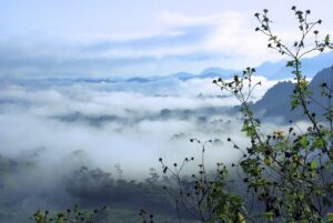 ワキ汗の多汗症にボトックス治療は男性にも効果的なのか？