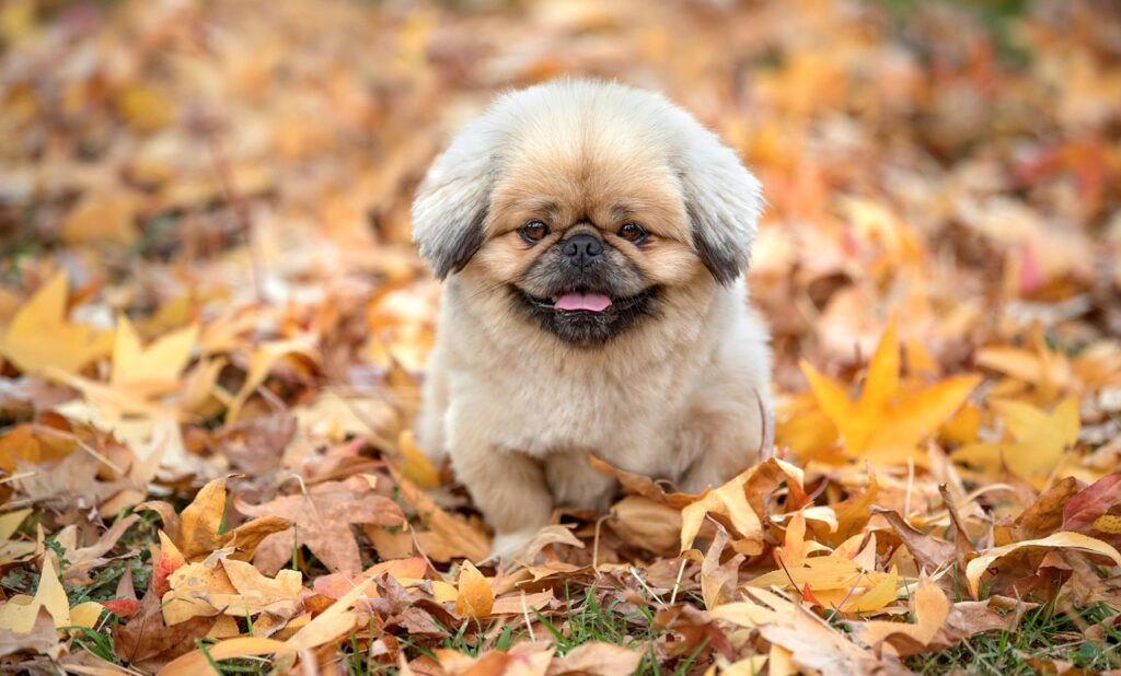 加齢臭対策に効果的なボディソープはドラッグストアで手に入る？