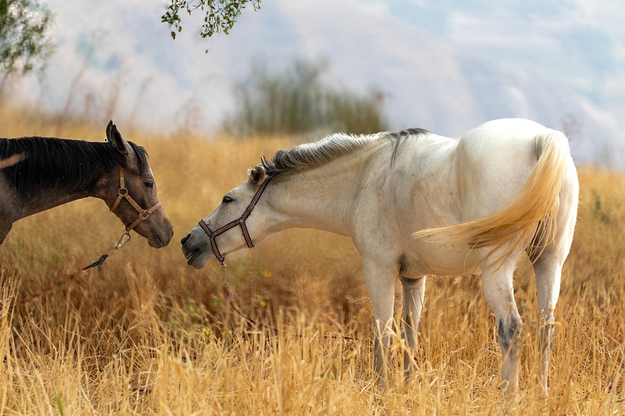 肌に優しいデオドラントは男性にとってどれが最適？