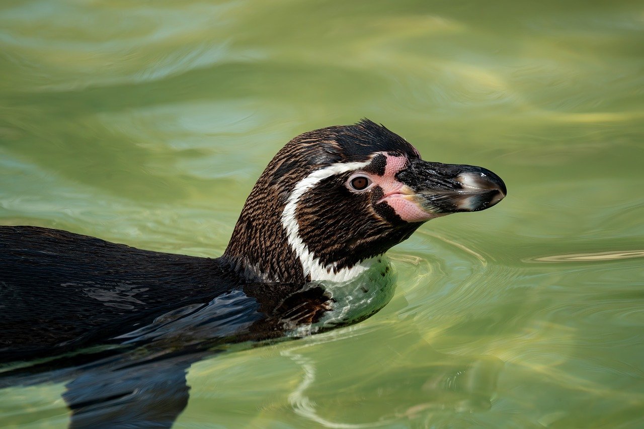 人に気づかれないケアの方法とは？