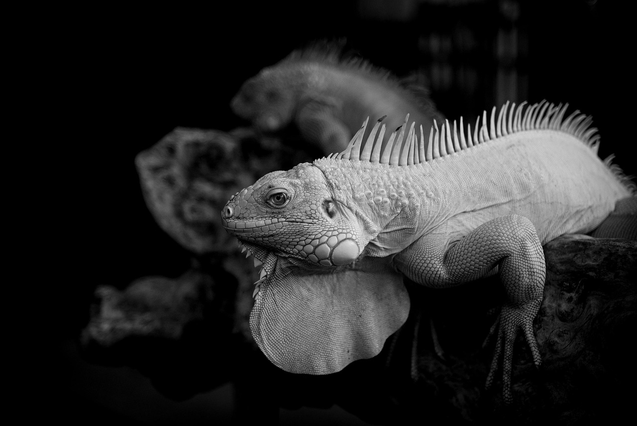 加齢臭の首や背中への影響と効果的な対策は？