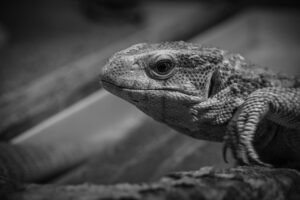 加齢臭はなぜ発生するのか、その原因と対策は？