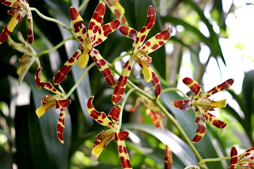 費用対効果を最大化するための賢い選択肢は？