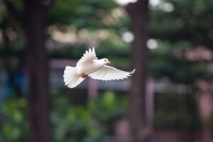 体臭対策に効果的なサプリを定期購入するなら安いのはどれ？