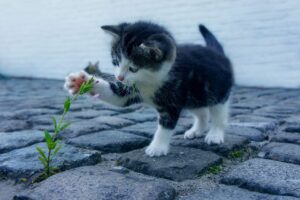 男性のための体臭対策に効果的な方法とは？